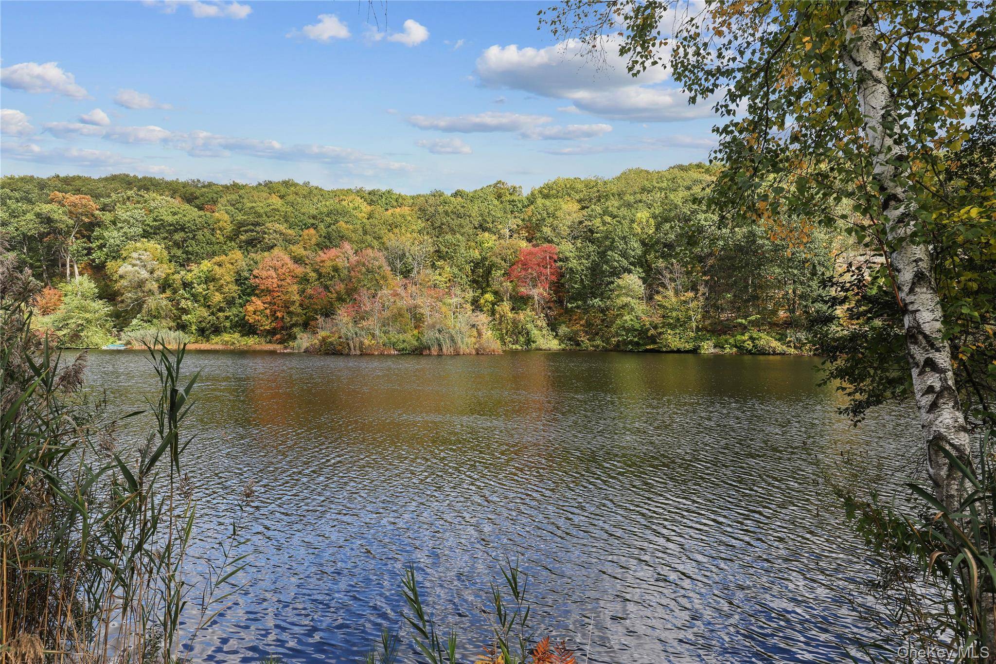 Casa de 3 Dormitorios en Venta en Armonk - Nueva York - EE. UU. - 1