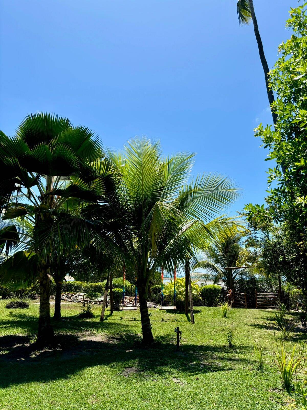 Casa com 3 Quartos à Venda em Cairu - Bahia - Brasil - 7