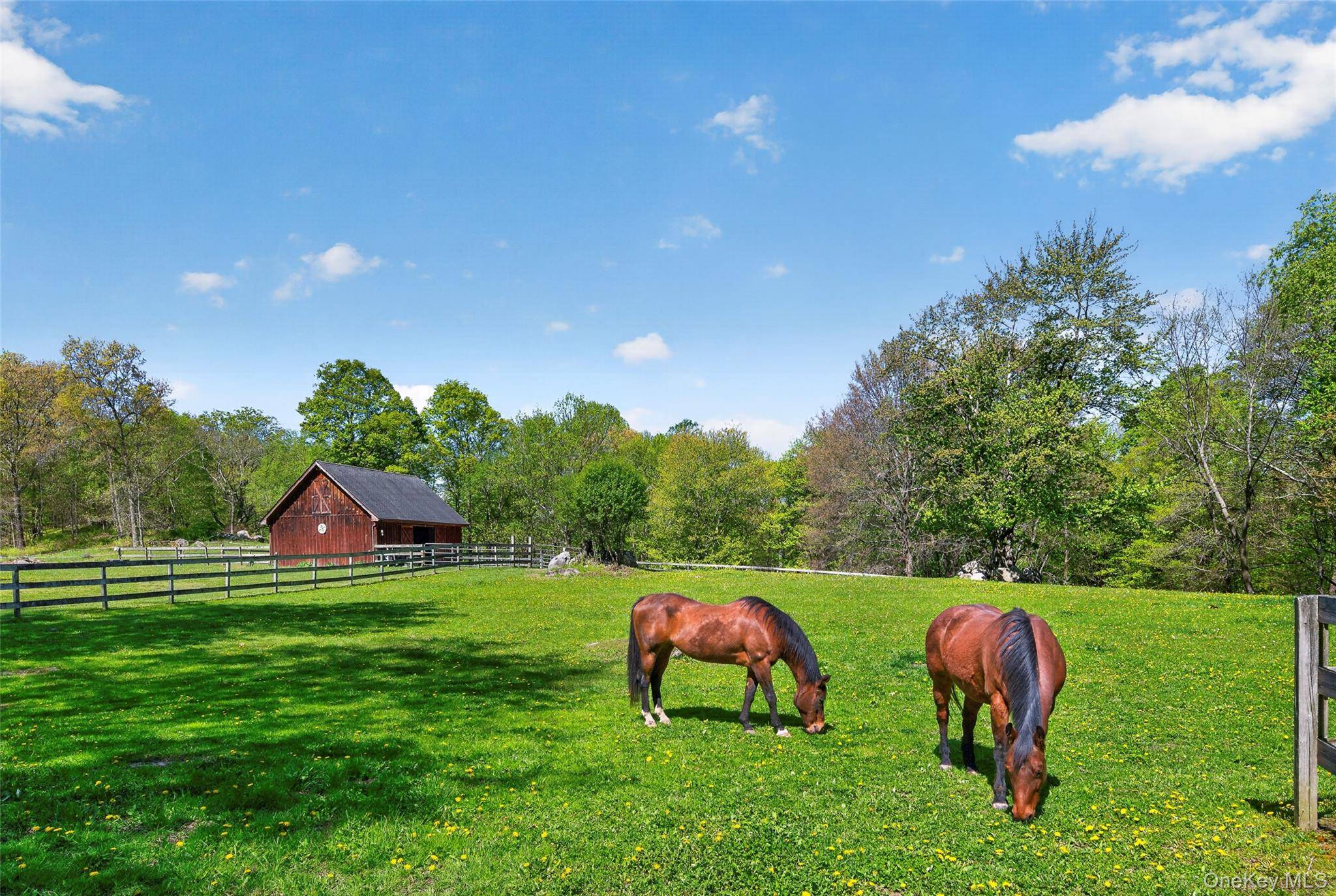 Casa de 3 Dormitorios en Venta en Middletown - Nueva York - EE. UU. - 4