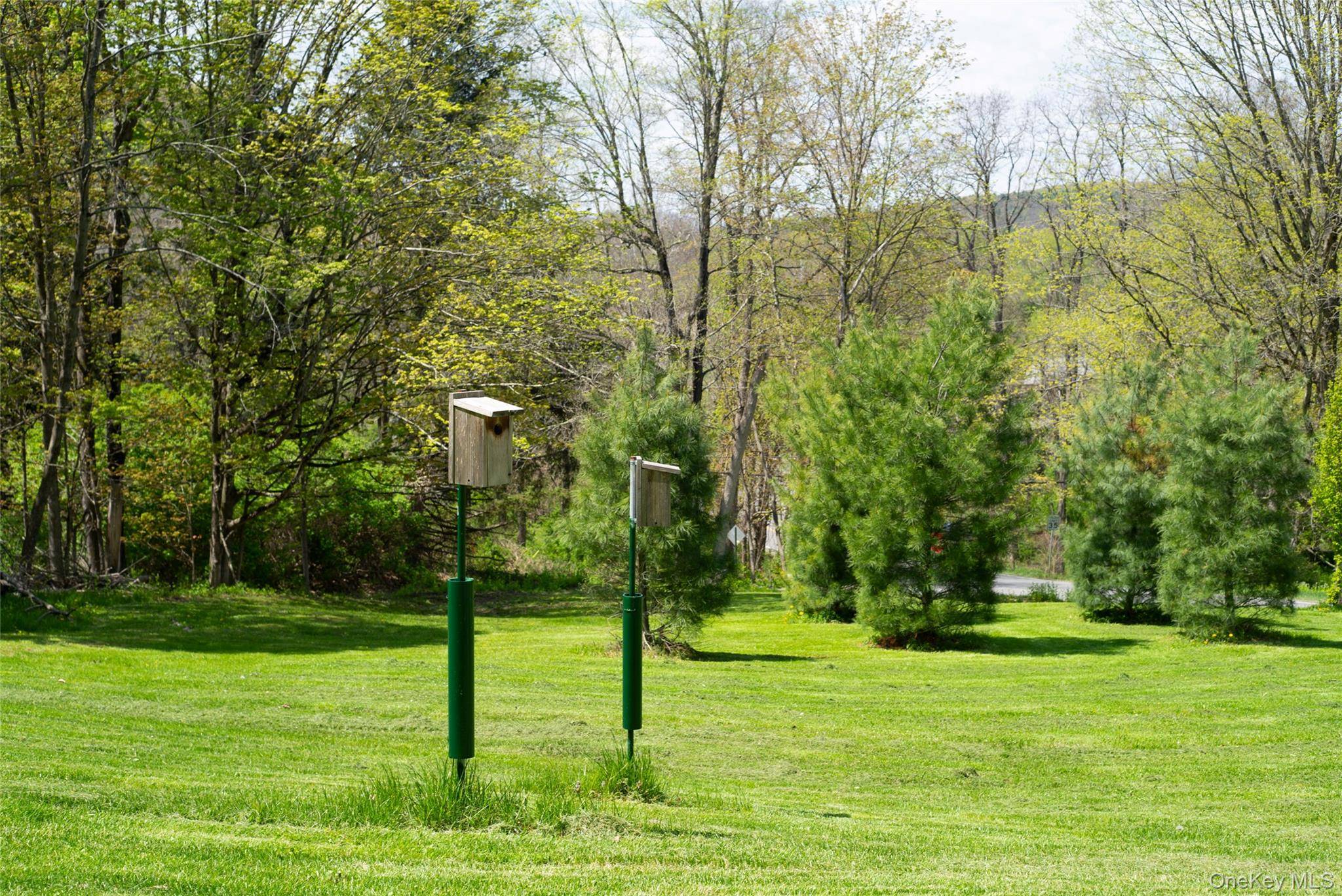 Casa de 3 Dormitorios en Venta en Pine Plains - Nueva York - EE. UU. - 5
