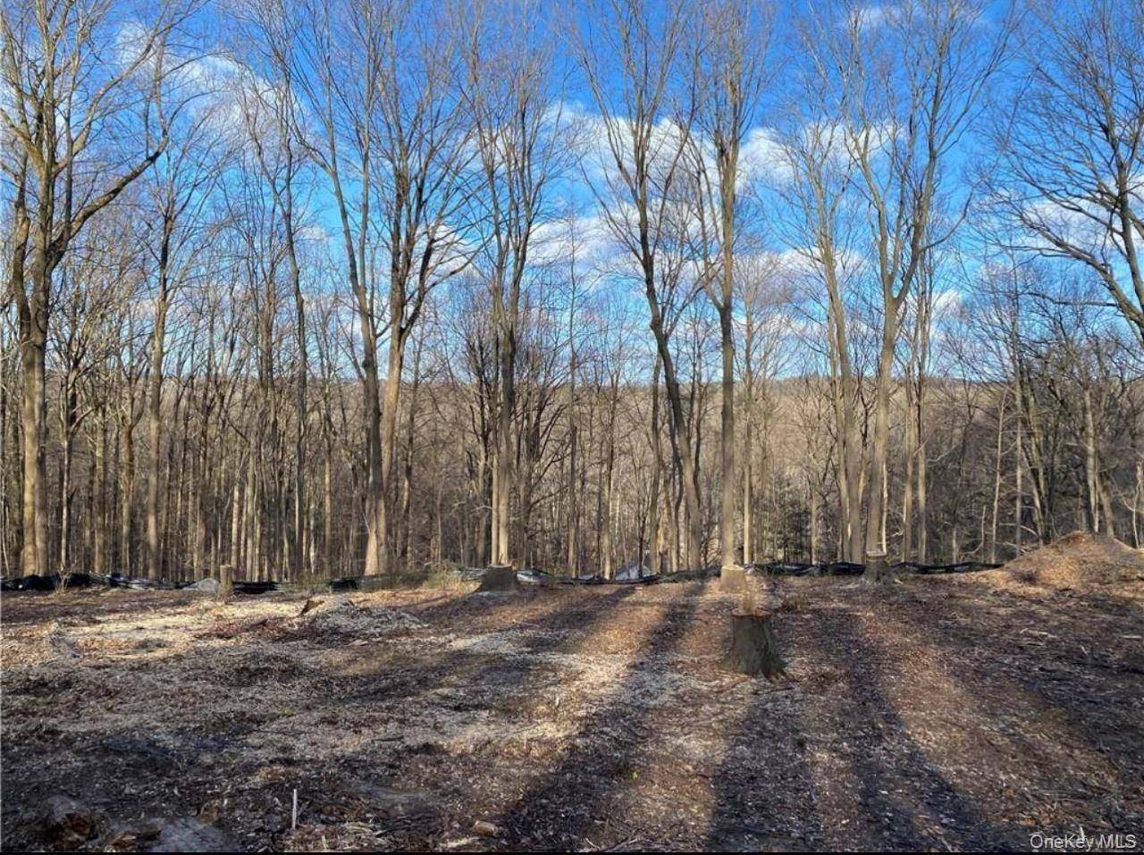 Casa com 4 Quartos à Venda em Armonk - Nova Iorque - EUA - 2