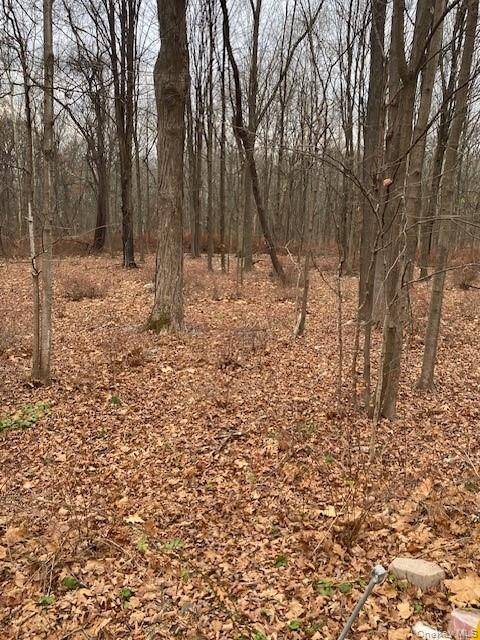 4 Bedroom Home for Sale in Westtown - New York - USA - 5