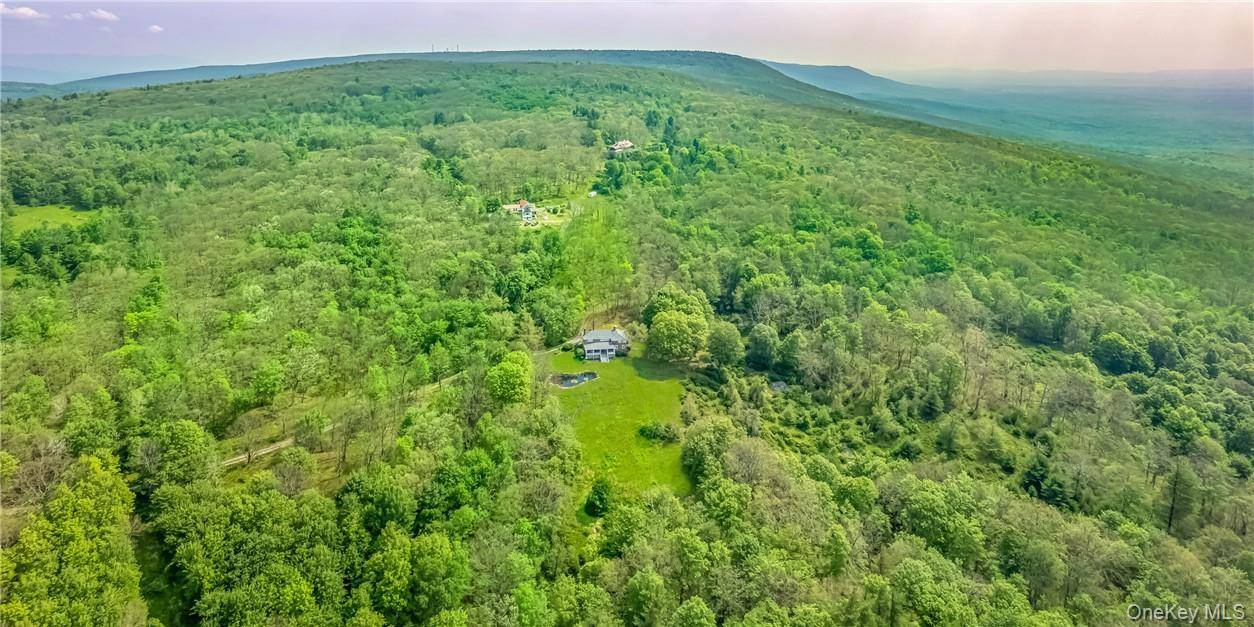 5 Bedroom Home for Sale in Cragsmoor - New York - USA - 7