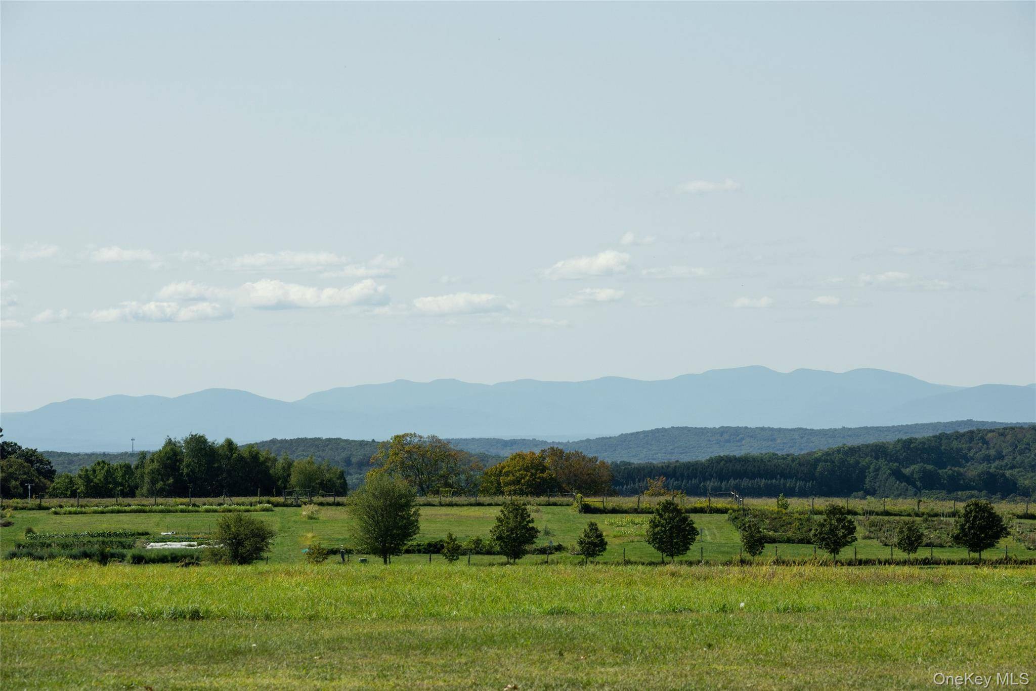 5 Bedroom Home for Sale in Millerton - NY - USA - 3