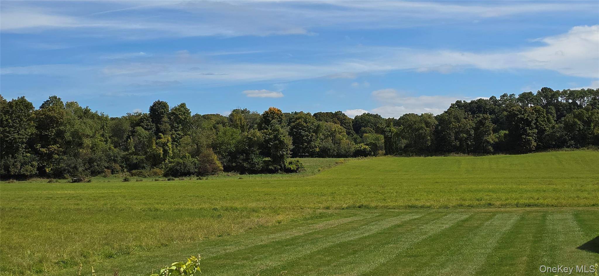6 Bedroom Home for Sale in Hopewell Junction, New York, USA - 7