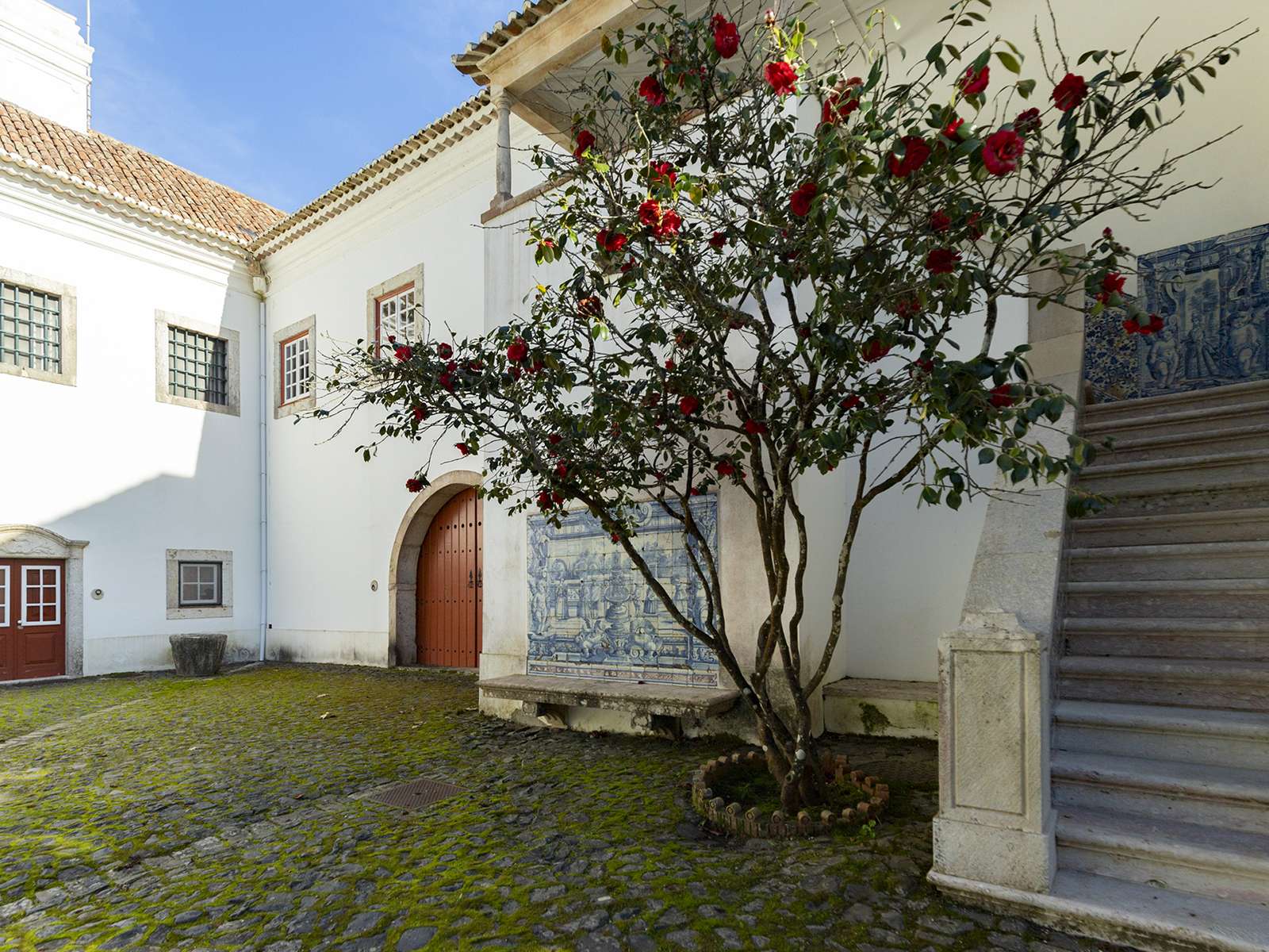 Casa com 8 Quartos à Venda em Mafra, Lisboa, Portugal - 3