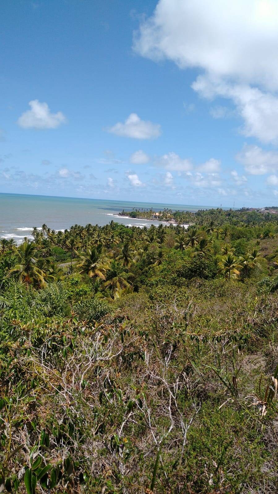 Chácara à Venda em Ilhéus - Bahia - Brasil - 2