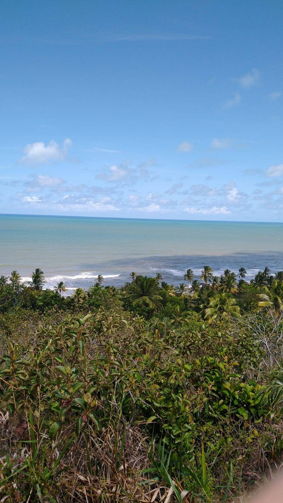 Chácara à Venda em Ilhéus - Bahia - Brasil - 3