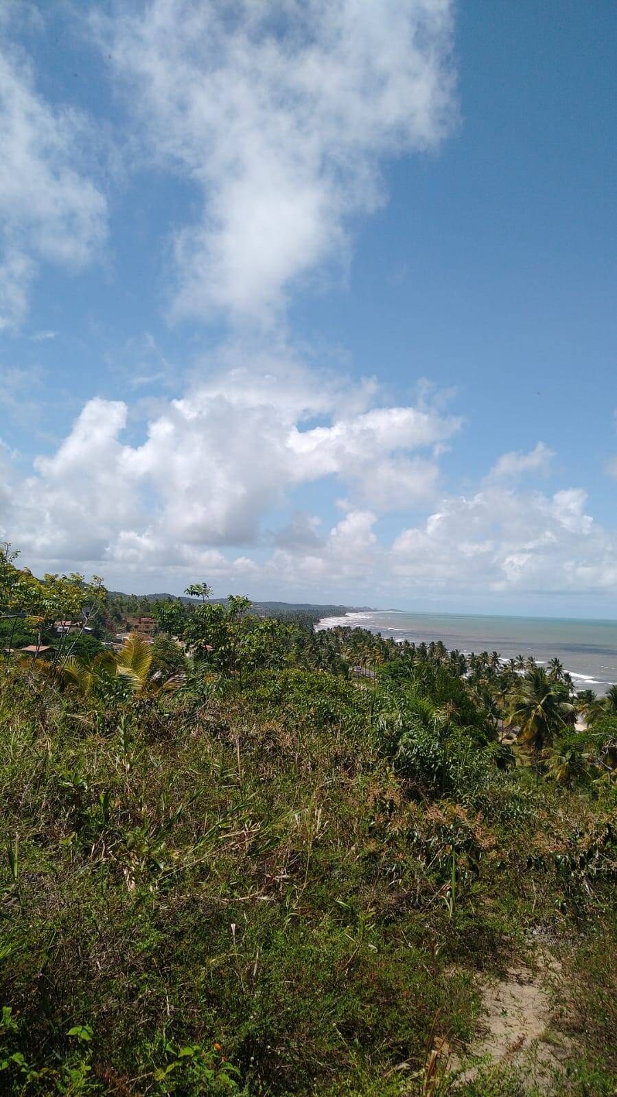 Chácara à Venda em Ilhéus - Bahia - Brasil - 4