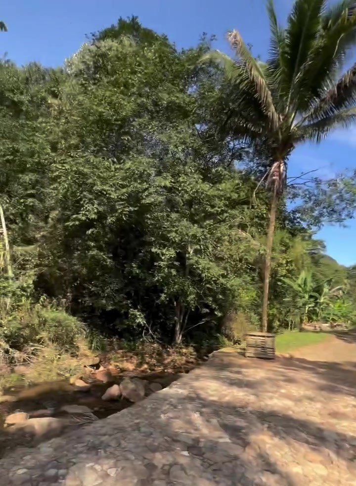Chácara de 15.000 m² à Venda na Rota da Ferradura - Guarapari - Espírito Santo - Brasil - 4