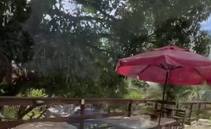 Propriété de campagne (chácara) de 2 Chambres à Vendre près de la Praia do Morro - Guarapari - Espírito Santo - Brésil - 5