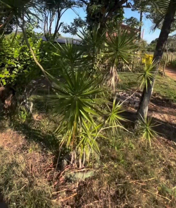 Quinta de 2 Dormitorios con Piscina en Venta en la Zona Rural de Guarapari - Espírito Santo - Brasil - 5