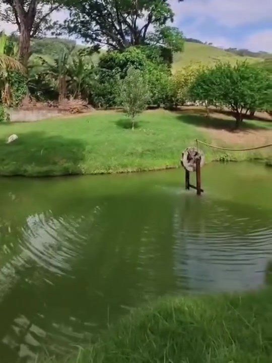 חווה קטנה (צ׳אקרה) עם 4 חדרי שינה למכירה בגואראפארי - אספיריטו סנטו - ברזיל - 6