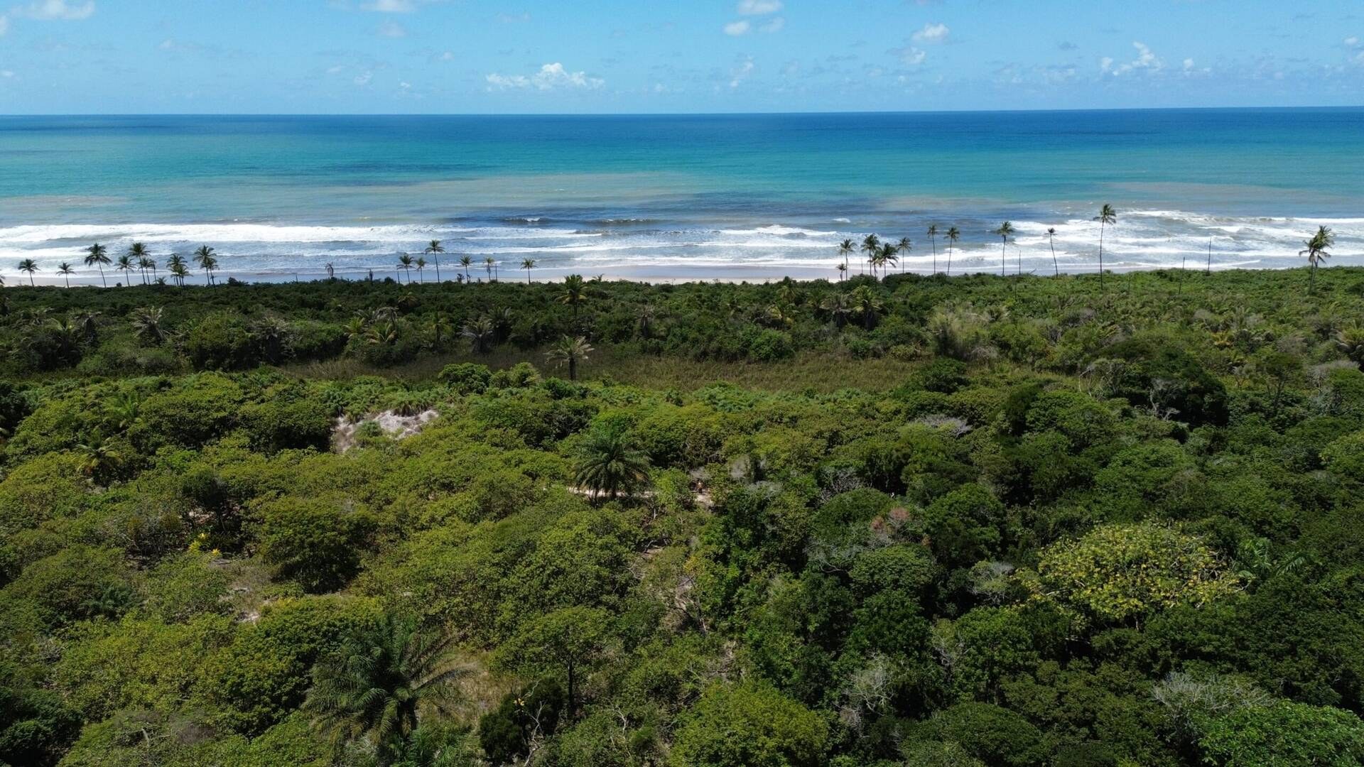 Fazenda à Venda em Ilhéus - Bahia - Brasil - 2