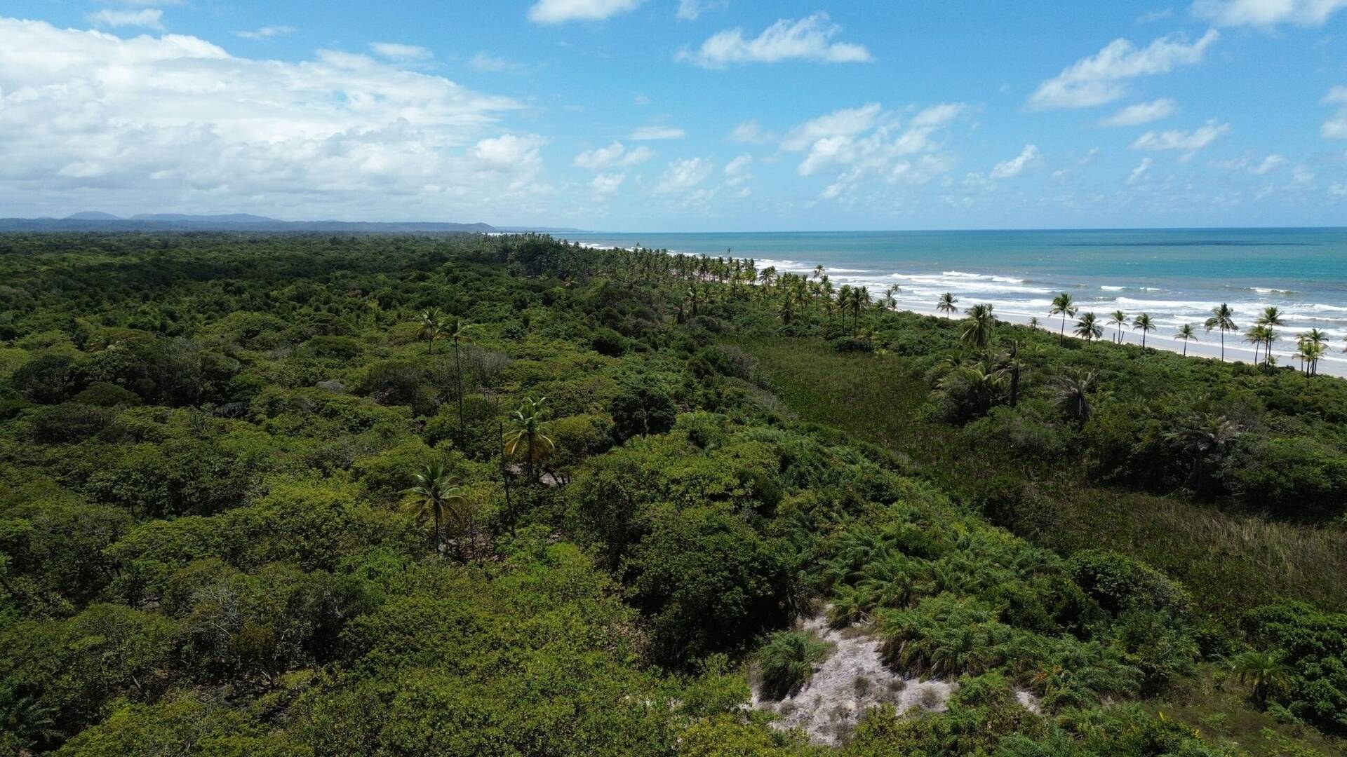 Fazenda à Venda em Ilhéus - Bahia - Brasil - 3