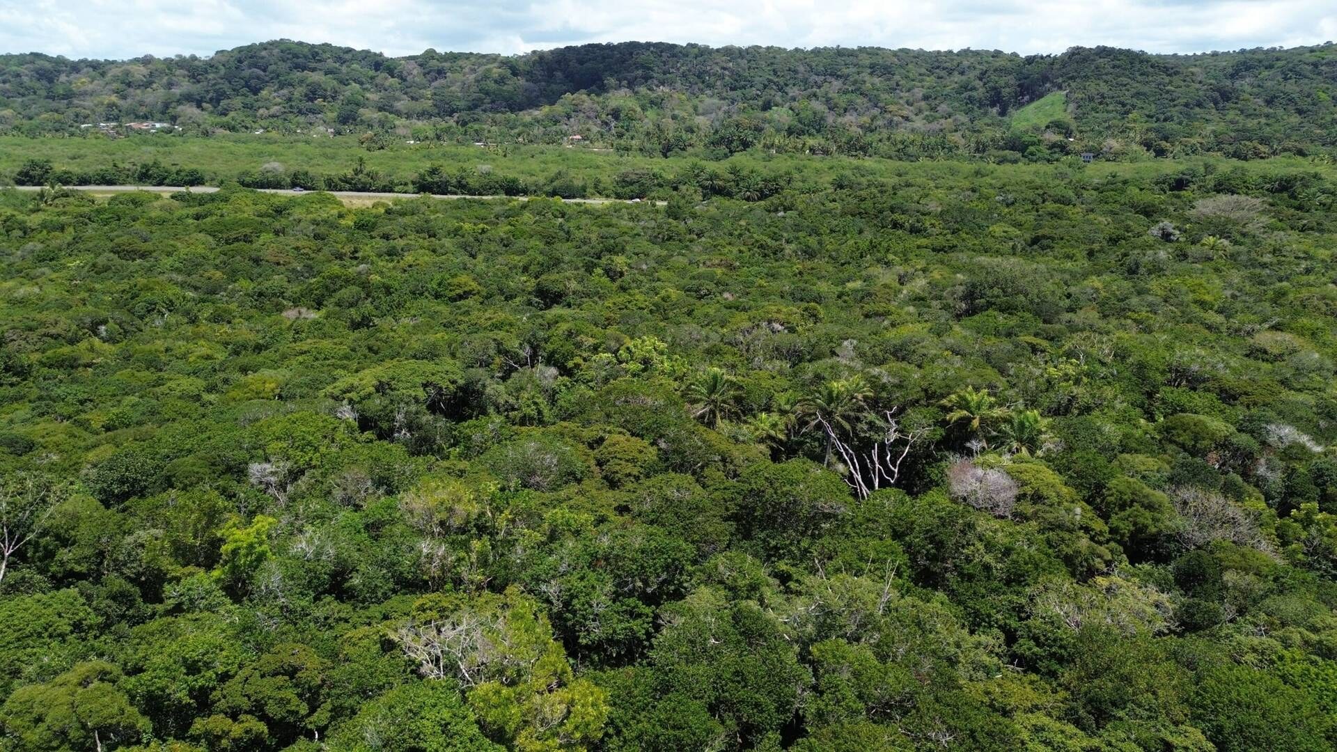 Fazenda à Venda em Ilhéus - Bahia - Brasil - 6