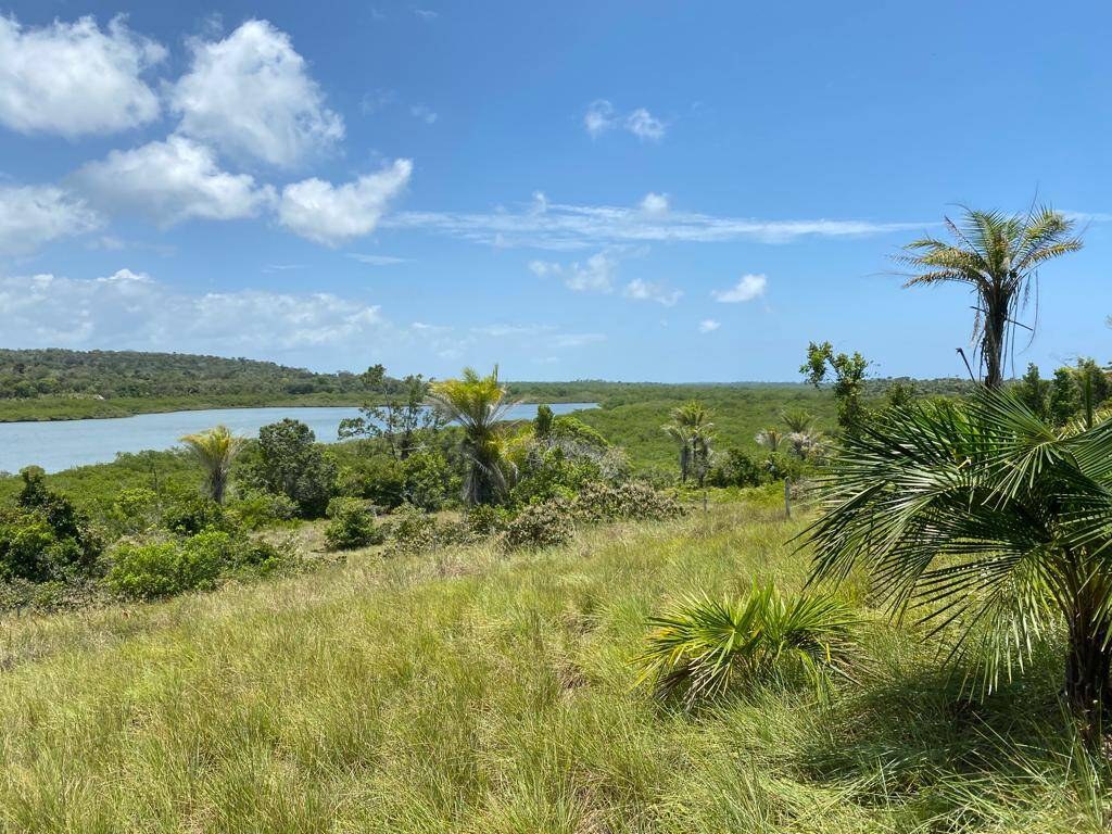 Fazenda à Venda em Maraú - Bahia - Brasil - 4