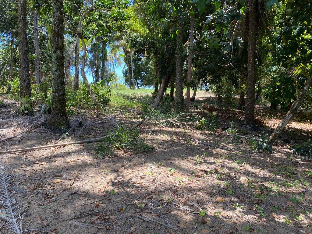 Fazenda à Venda em Maraú - Bahia - Brasil - 7