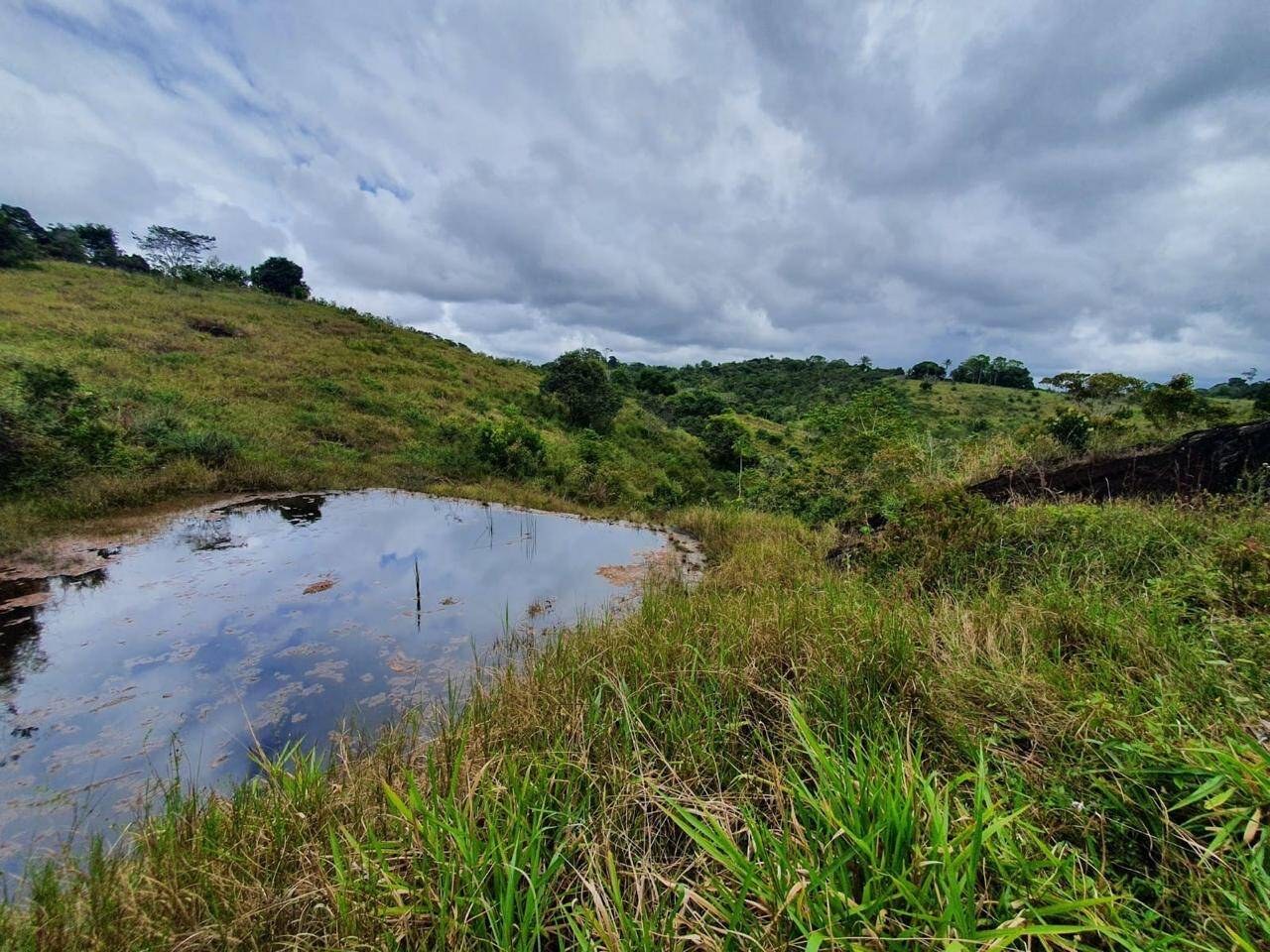 Fazenda à Venda em Uruçuca - Bahia - Brasil - 2