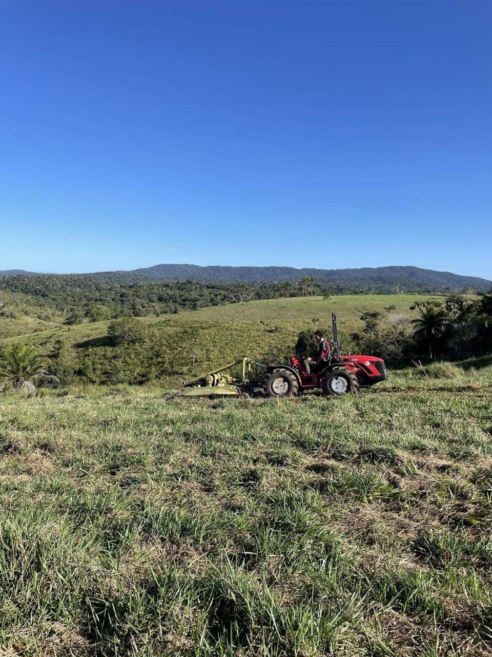 Fazenda à Venda em Uruçuca - Bahia - Brasil - 3