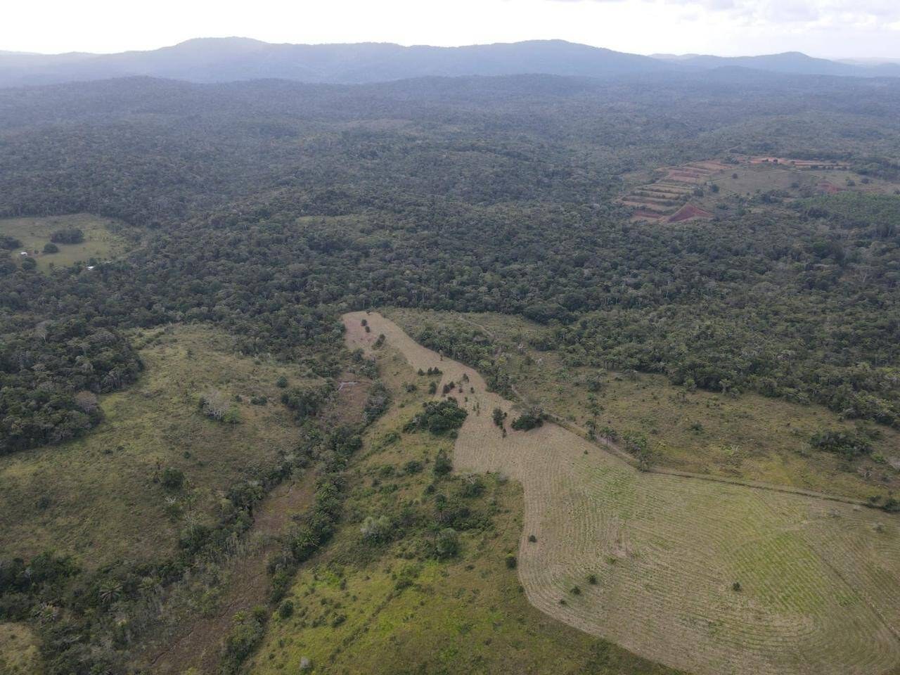 Fazenda à Venda em Uruçuca - Bahia - Brasil - 6