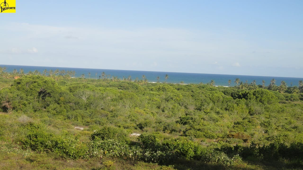 Fazenda de 3.140.000 m² à Venda em Subaúma – Entre Rios – Bahia – Brasil - 3