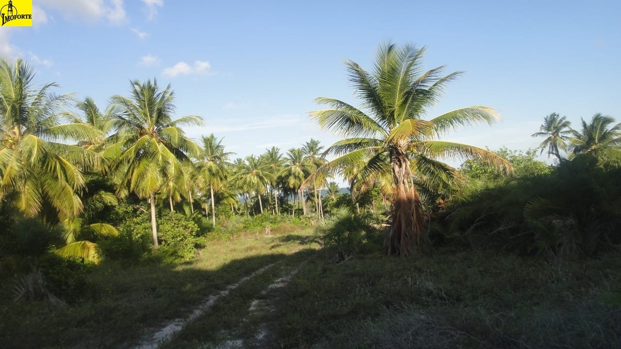 Fazenda de 3.140.000 m² à Venda em Subaúma – Entre Rios – Bahia – Brasil - 6