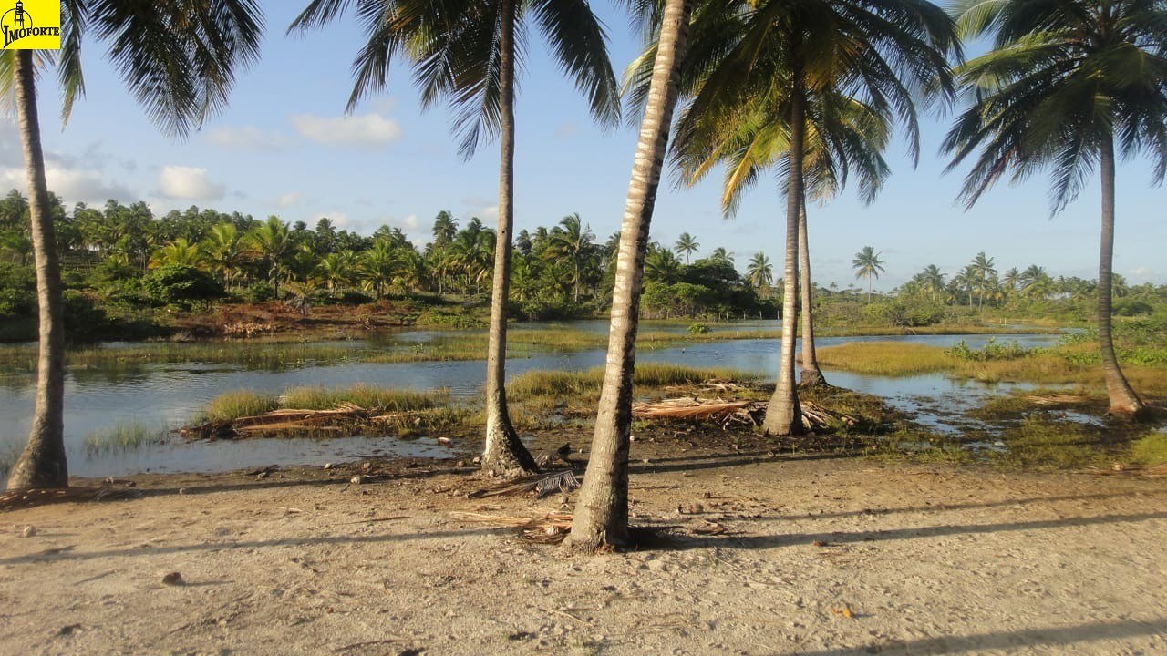 Fazenda de 3.140.000 m² à Venda em Subaúma – Entre Rios – Bahia – Brasil - 7
