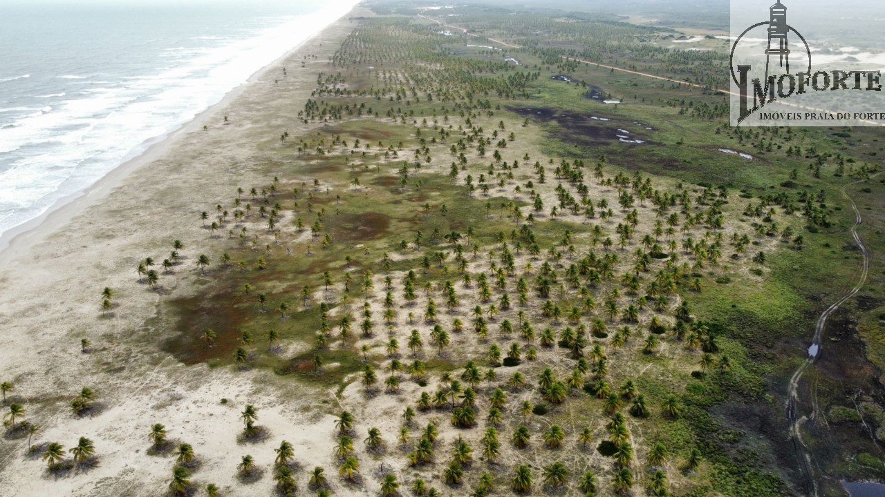 Fazenda de 700.000 m² à Venda em Mangue Seco – Jandaíra – Bahia – Brasil - 3