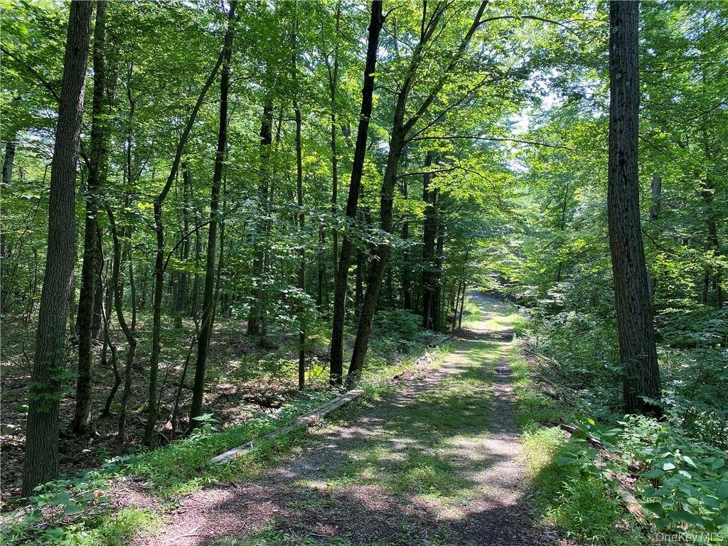 Imóvel à Venda em Cold Spring - Nova Iorque - EUA - 6