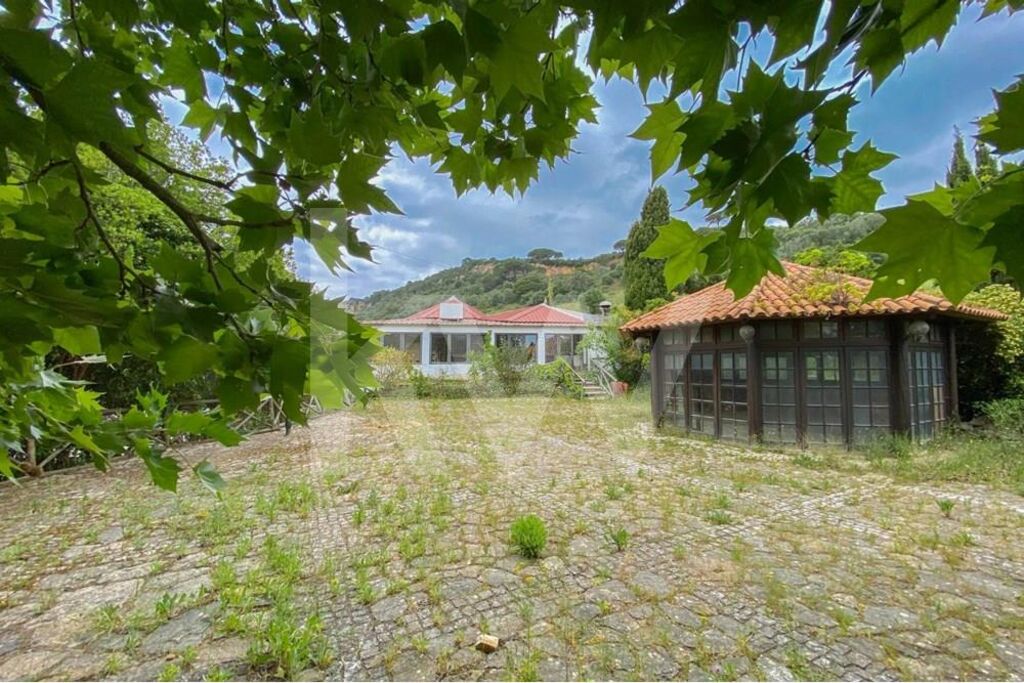 Loja à Venda em Setúbal - Portugal - 1
