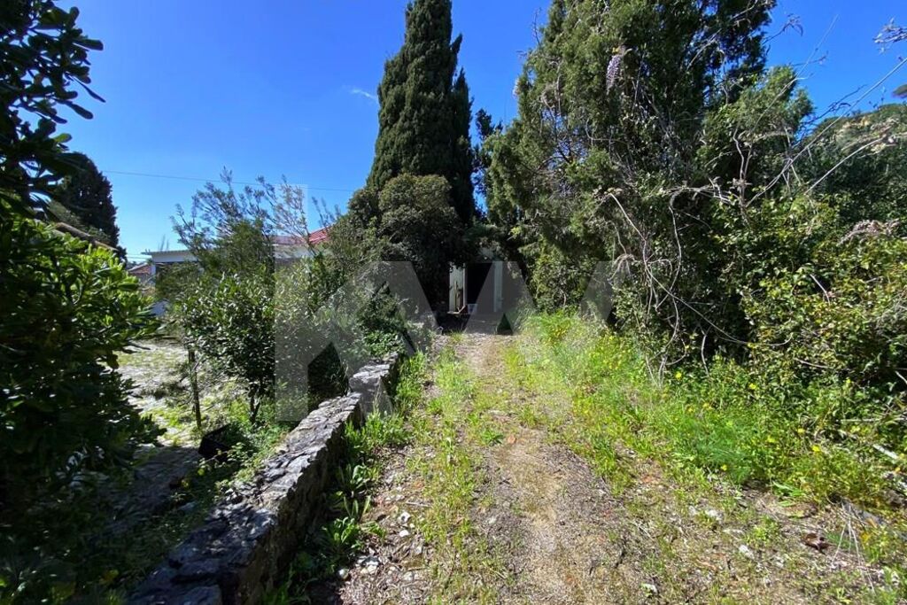Loja à Venda em Setúbal - Portugal - 6