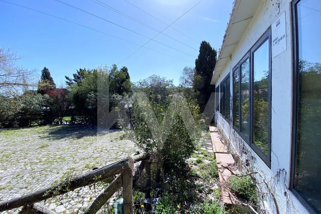 Loja à Venda em Setúbal - Portugal - 8