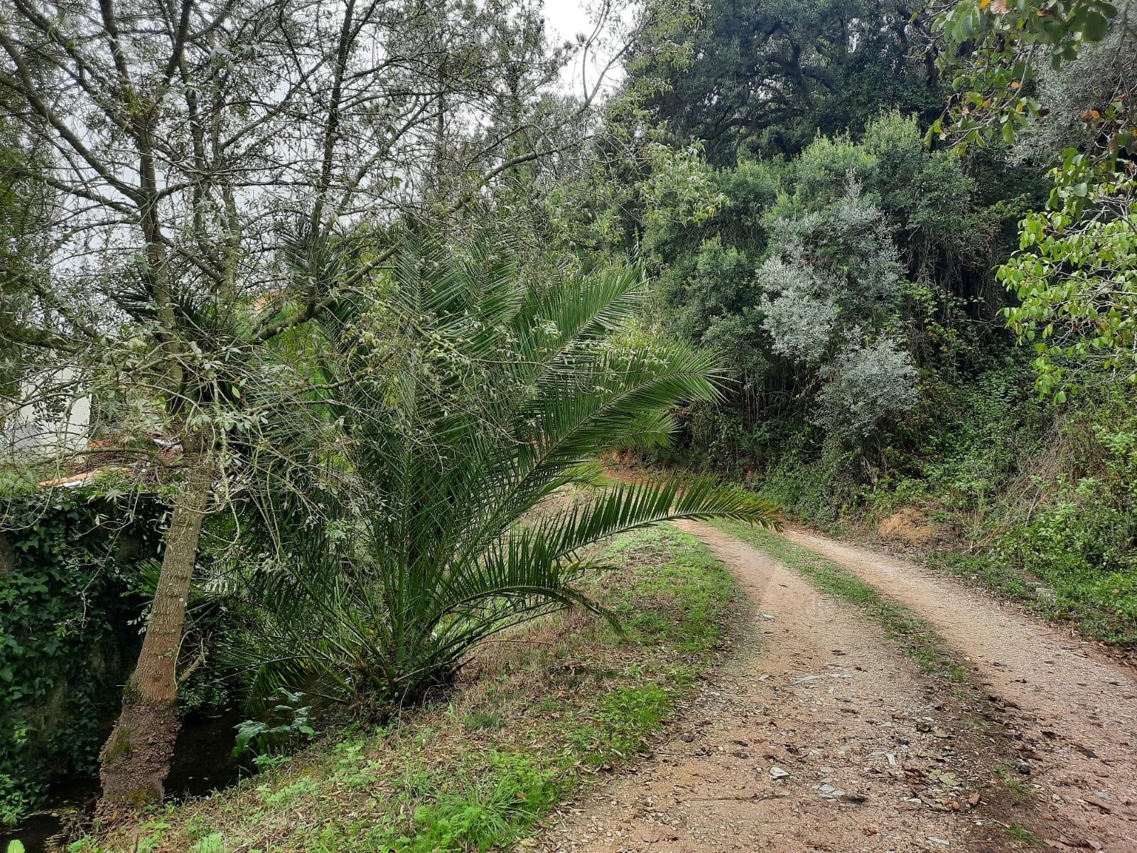 Moradia T2 à Venda em Belas - Lisboa - Portugal - 3
