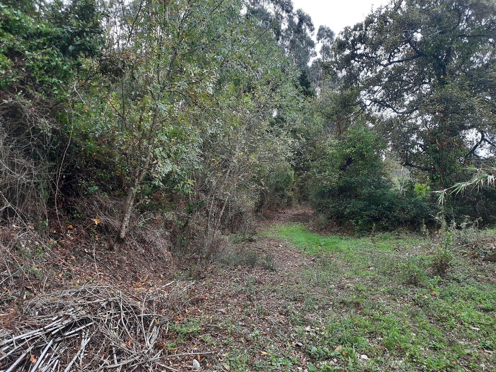 Moradia T2 à Venda em Belas - Lisboa - Portugal - 5