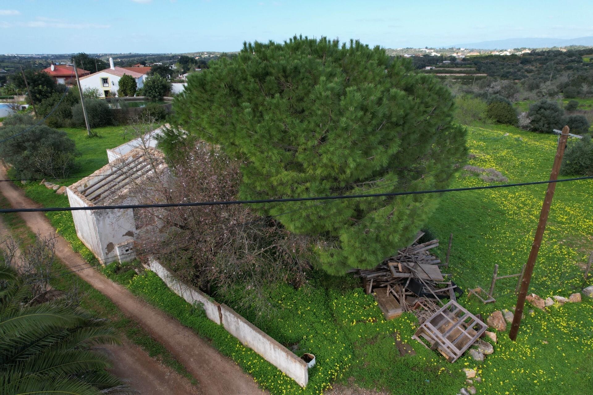 Moradia T2 à Venda em Silves - Algarve - Portugal - 5