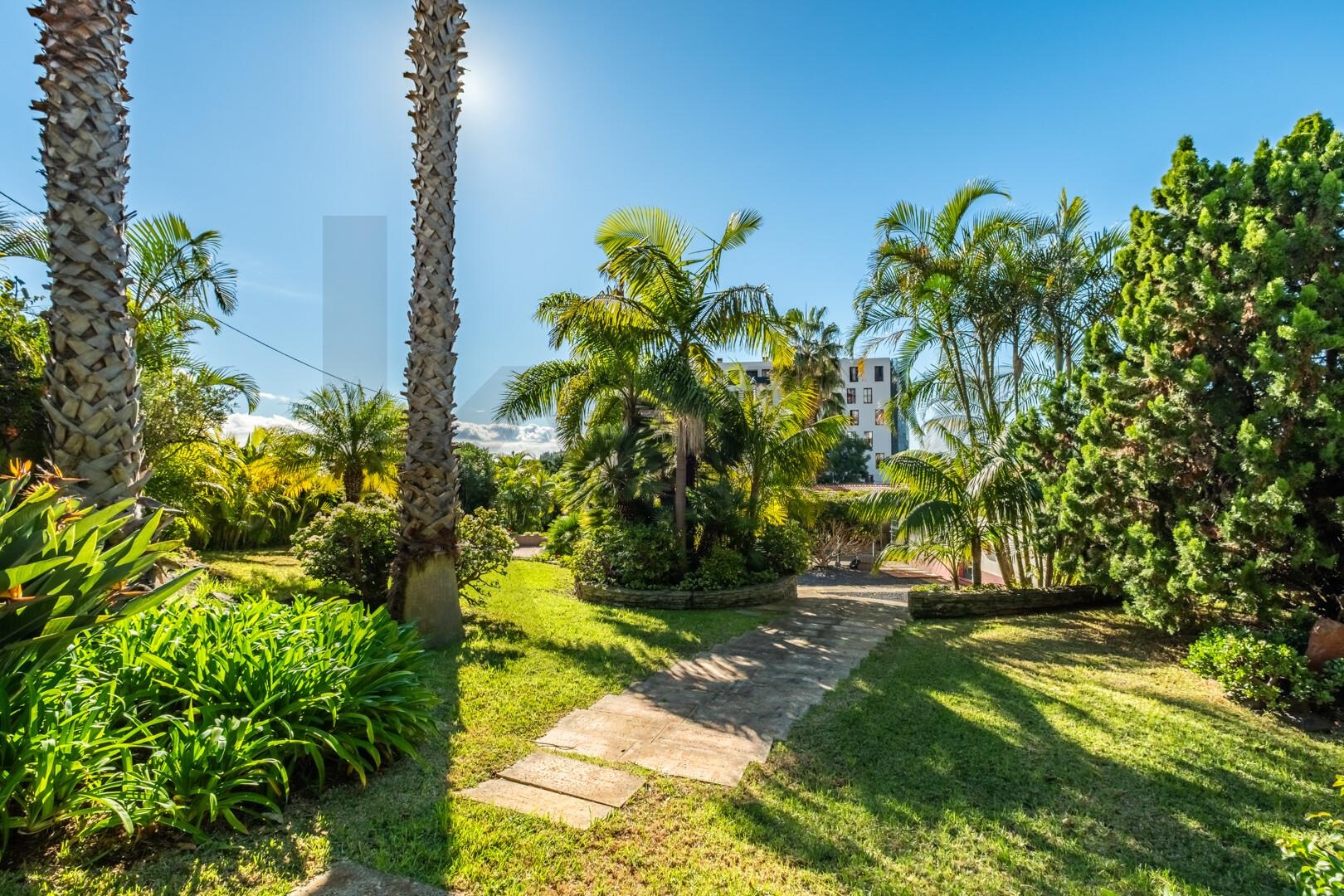 Vivienda de 3 dormitorios en venta en Funchal - Isla de Madeira - Portugal - 3