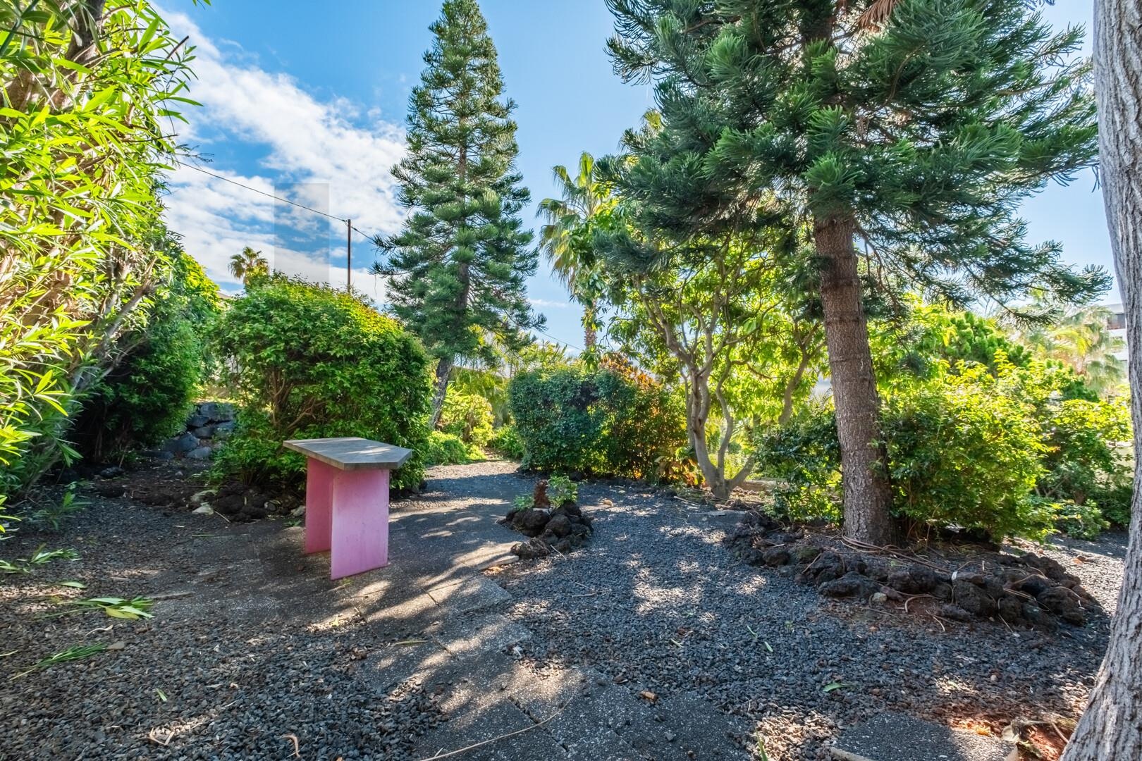 Vivienda de 3 dormitorios en venta en Funchal - Isla de Madeira - Portugal - 6