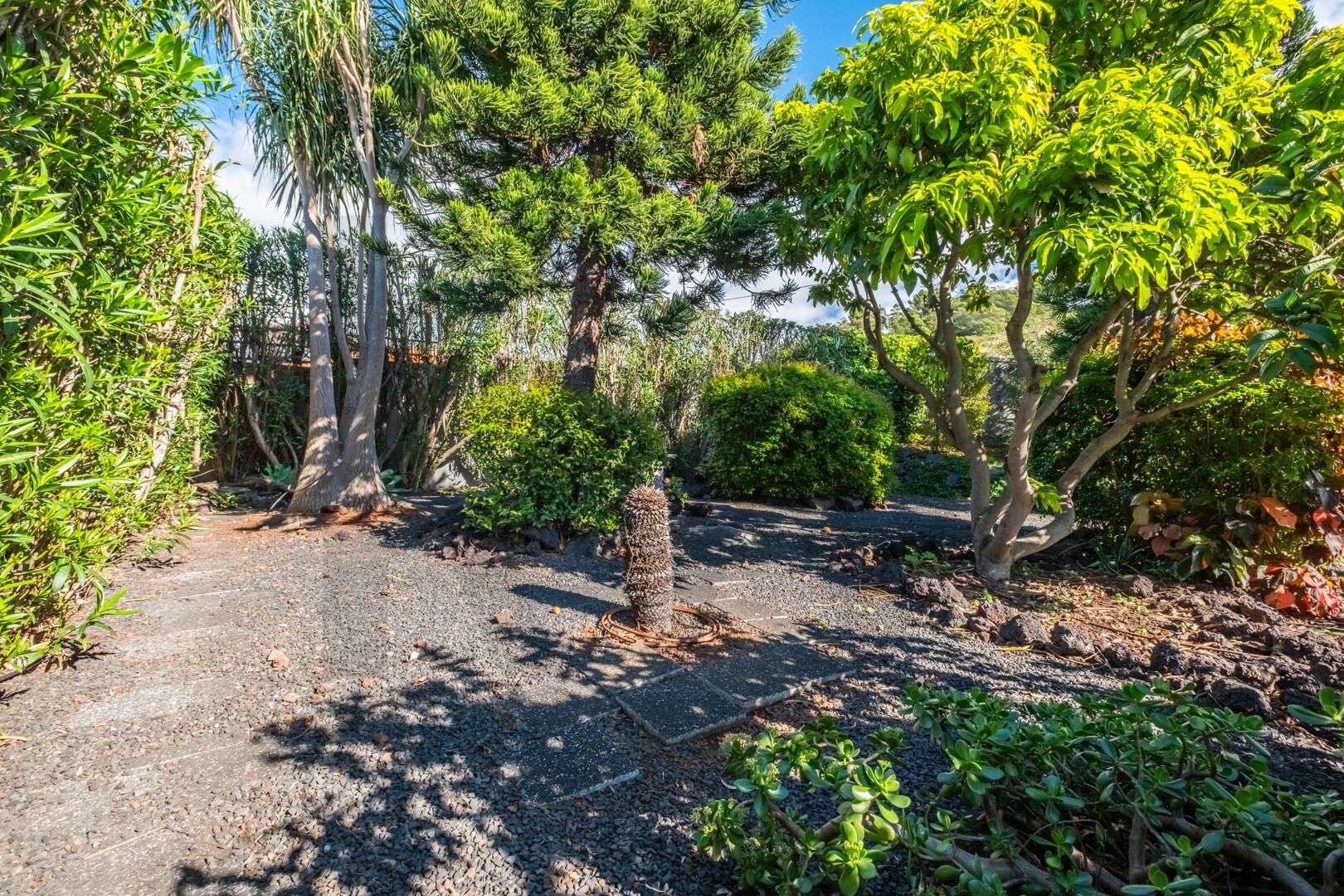 Vivienda de 3 dormitorios en venta en Funchal - Isla de Madeira - Portugal - 7