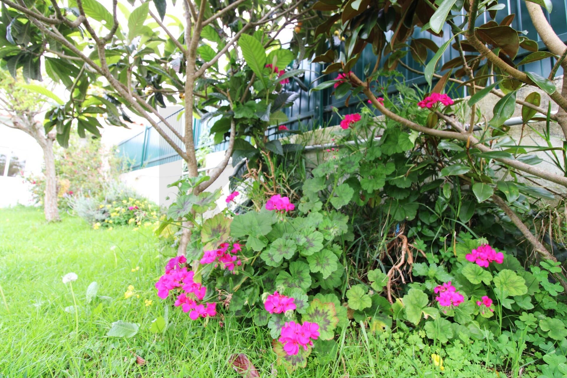 Moradia T4 à Venda em Ericeira - Lisboa - Portugal - 6