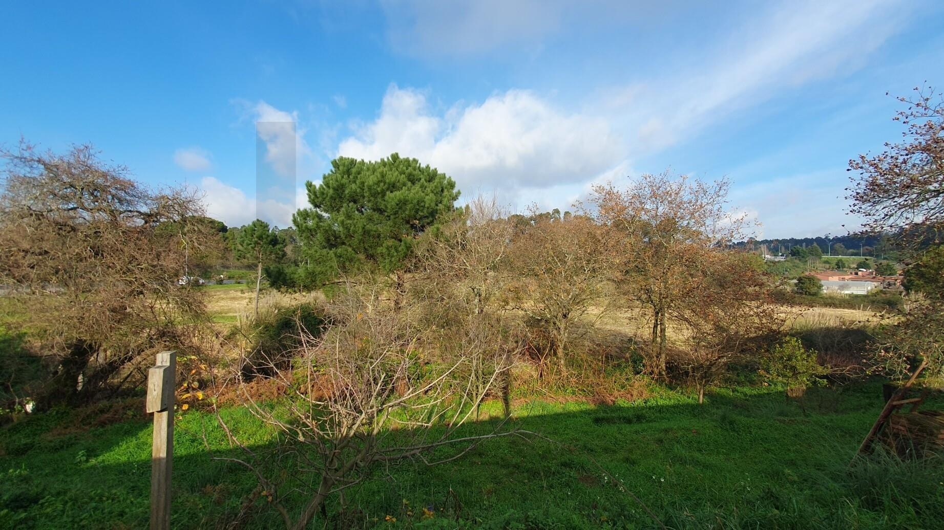 Moradia T4 à Venda em Matosinhos - Porto - Portugal - 6