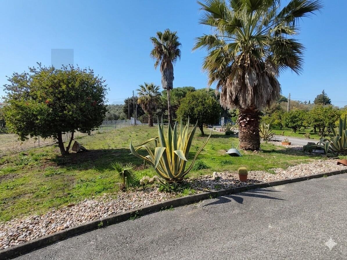 Casa de 4 Dormitorios en Venta en Santarém - Portugal - 2
