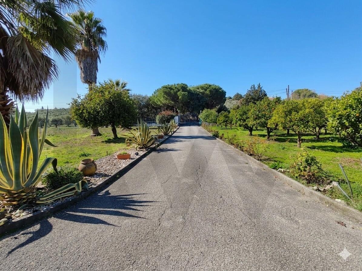Casa de 4 Dormitorios en Venta en Santarém - Portugal - 3