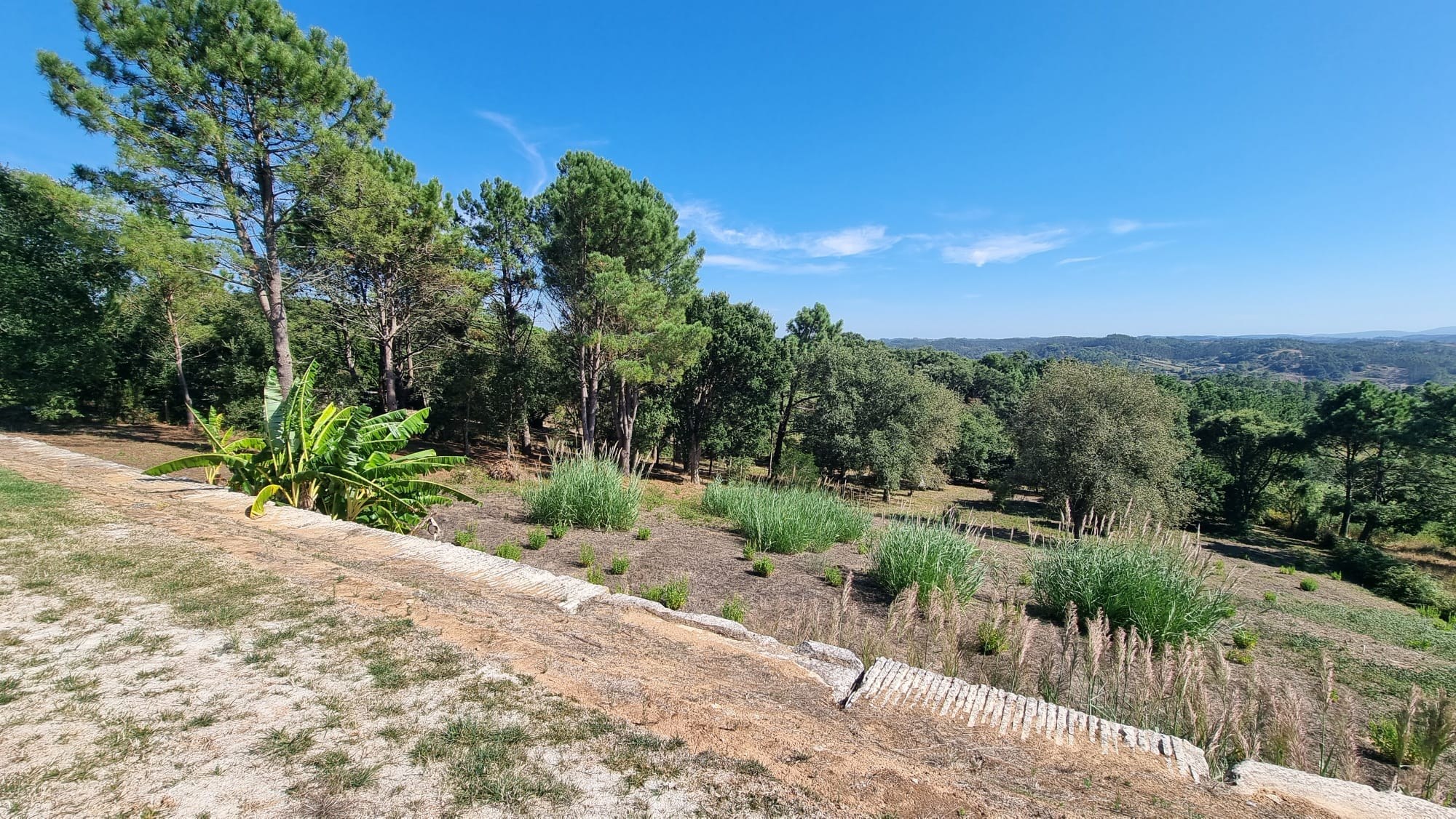 Maison 4 Chambres avec Piscine à Vendre à Caldas da Rainha - Leiria - Portugal - 6