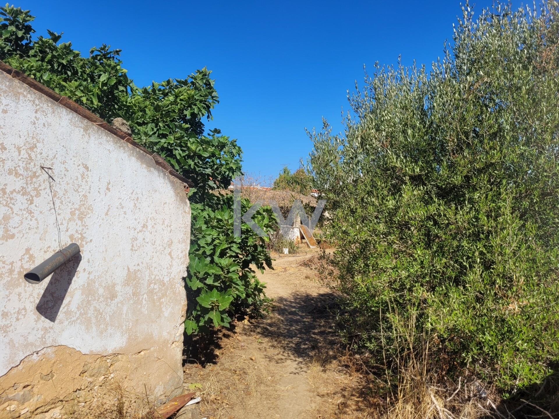 Moradia T5+ à Venda em Silves - Algarve - Portugal - 6