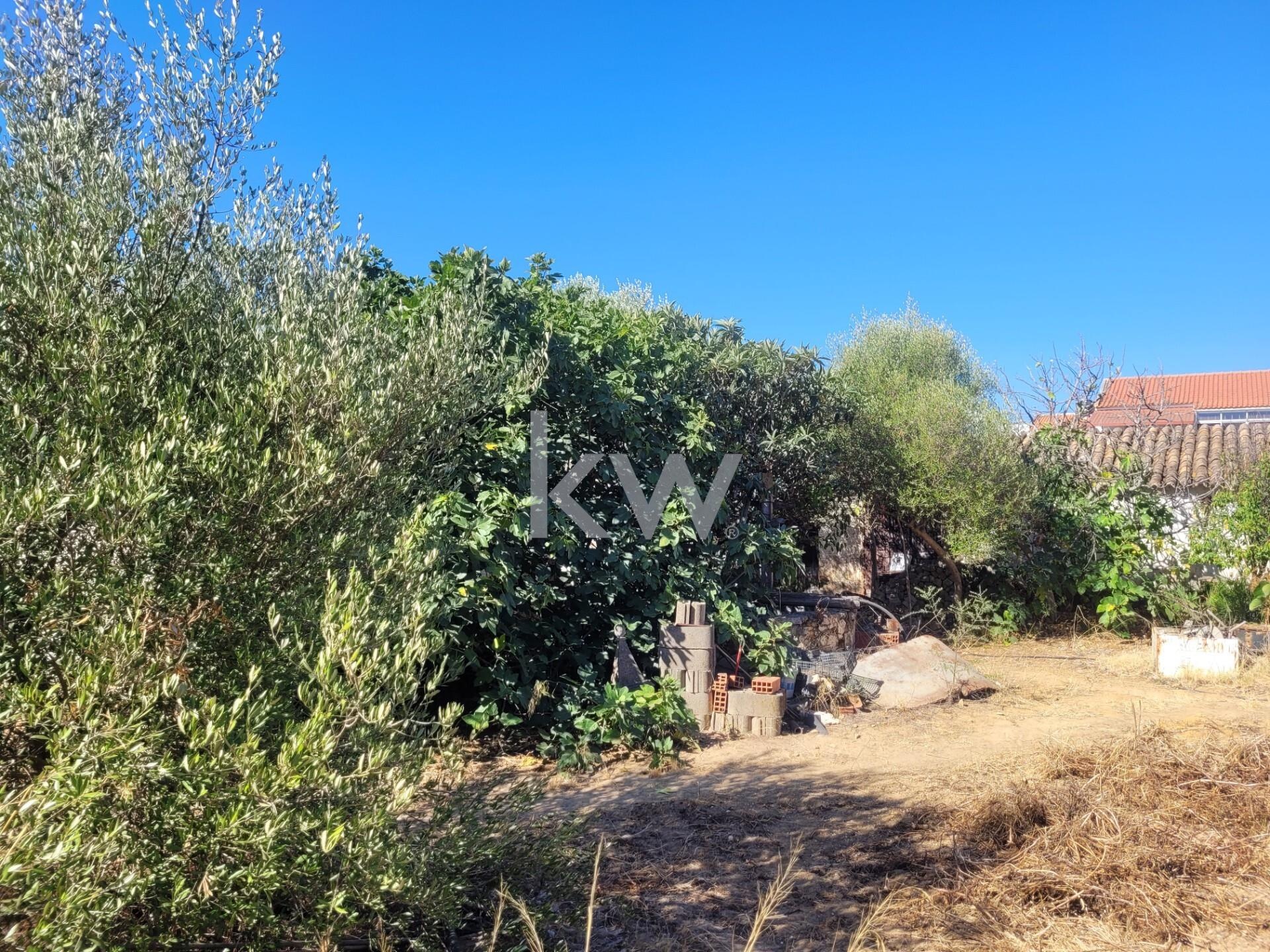 Moradia T5+ à Venda em Silves - Algarve - Portugal - 7