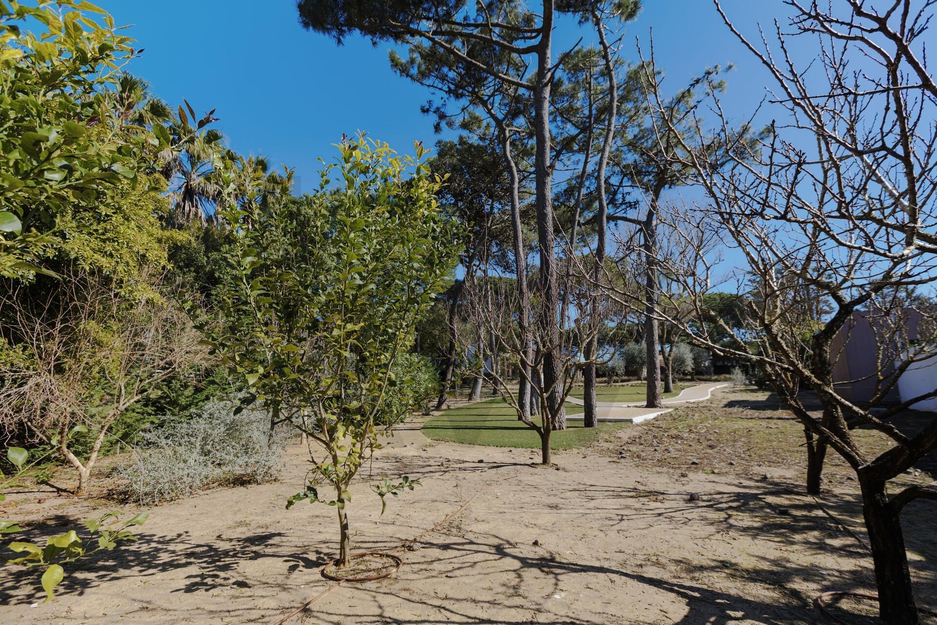 Moradia T5+ à Venda em Cascais - Lisboa - Portugal - 6