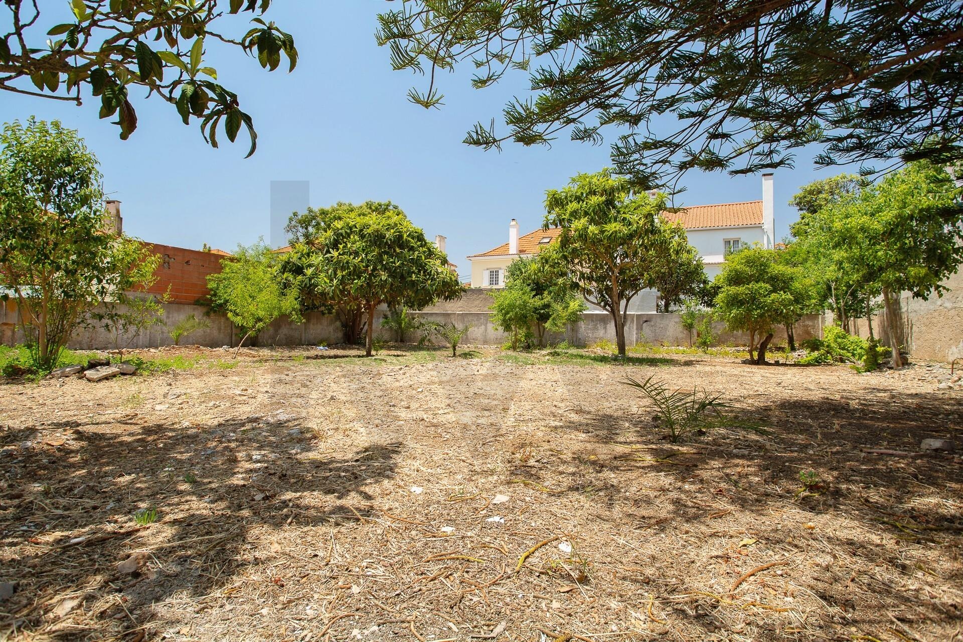 Moradia T5+ à Venda em Parede - Lisboa - Portugal - 7