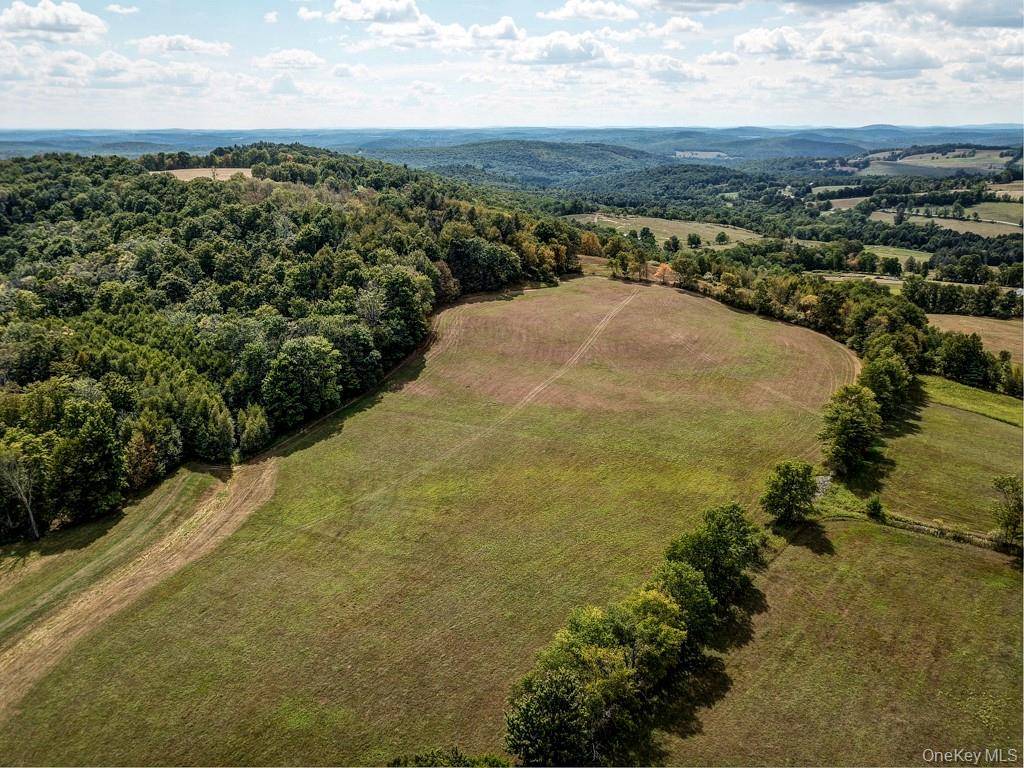 Propriedade à Venda em Callicoon - Nova Iorque - EUA - 1