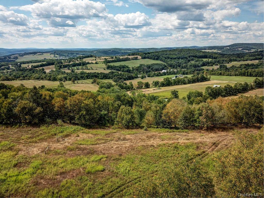 Propriedade à Venda em Callicoon - Nova Iorque - EUA - 2